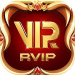 Rvip Game download interface shown on mobile screen with gaming dashboard and app features for users